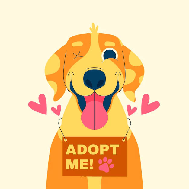 Pet Adoption App